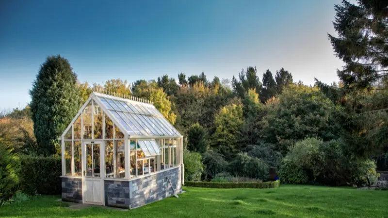 Modern Greenhouse in UK: Design, Benefits & Installation Tips - UK Beds Direct ltd