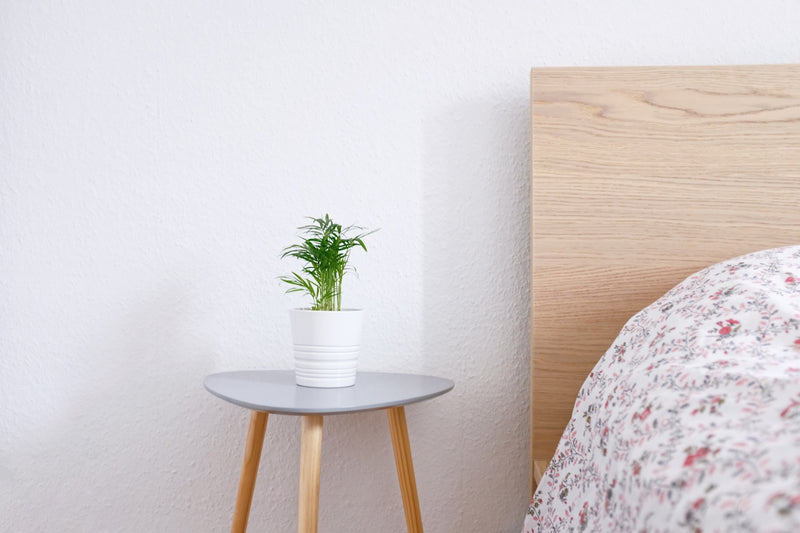 white ceramic pot on gray and brown wooden table