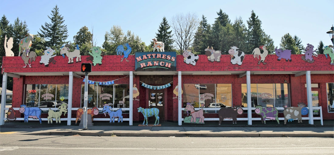 a red building with a bunch of stuffed animals on top of it