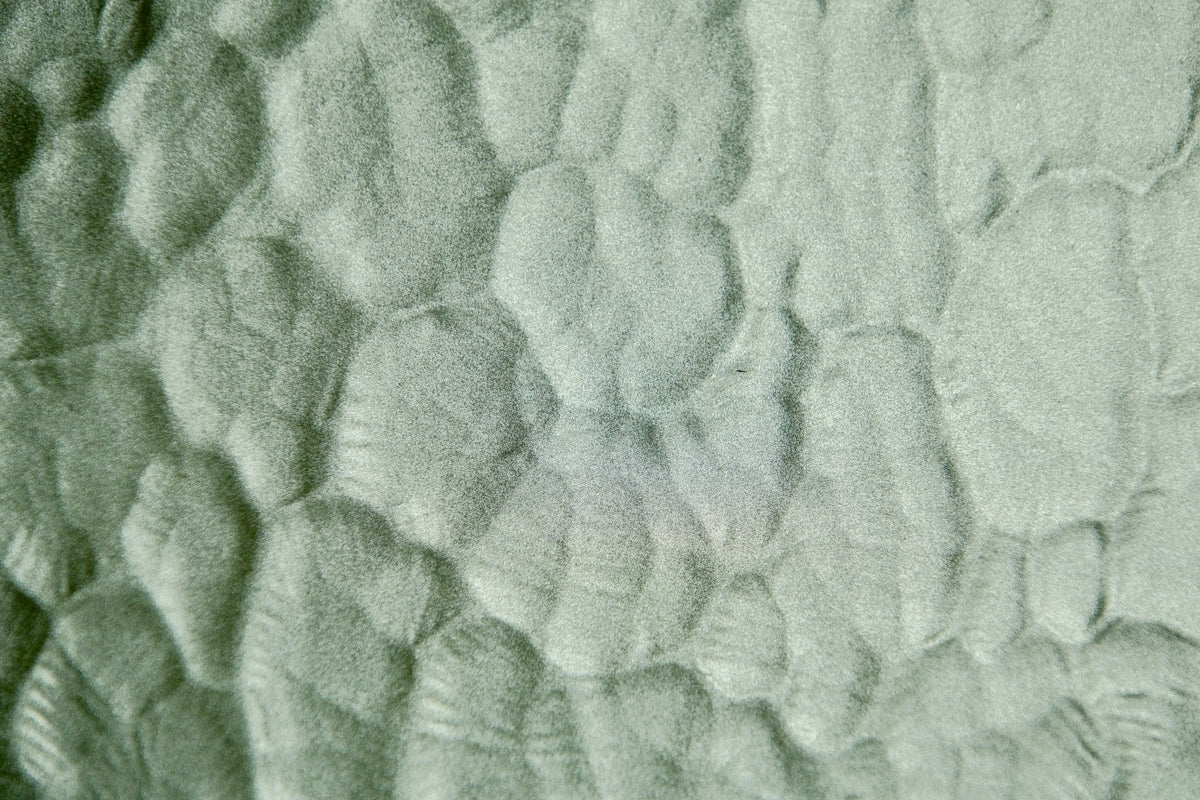 Abstract patterned texture with organic shapes